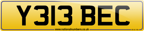 Y313 BEC