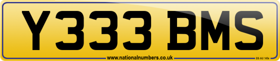 Y333 BMS