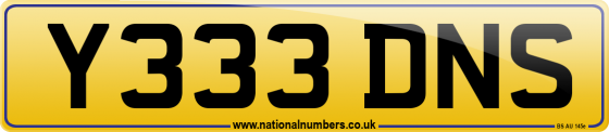 Y333 DNS
