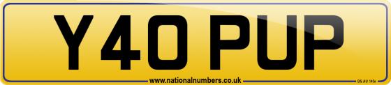 Y40 PUP