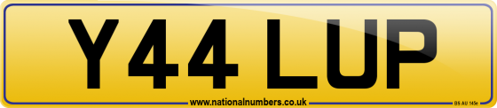Y44 LUP