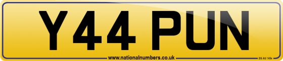 Y44 PUN