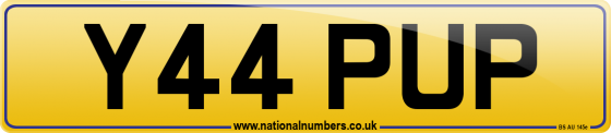 Y44 PUP