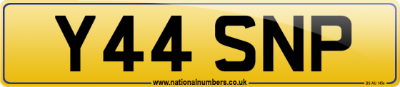 Y44 SNP