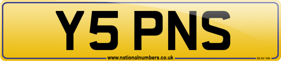 Y5 PNS