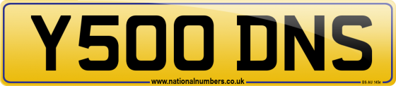 Y500 DNS