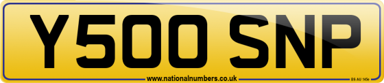 Y500 SNP