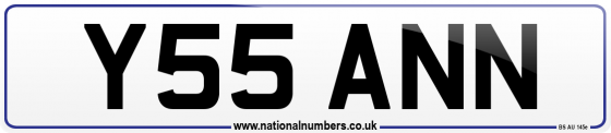 Y55 ANN