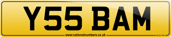Y55 BAM