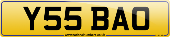 Y55 BAO