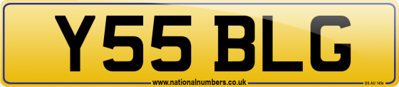 Y55 BLG