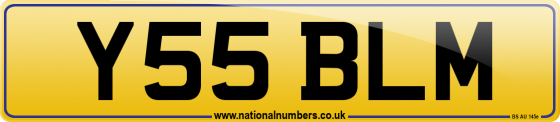 Y55 BLM