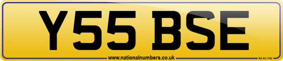 Y55 BSE