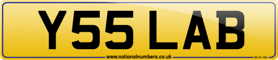 Y55 LAB