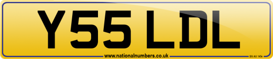 Y55 LDL