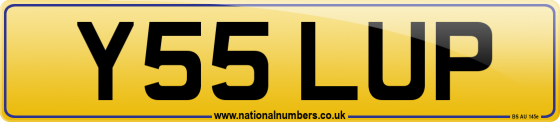 Y55 LUP