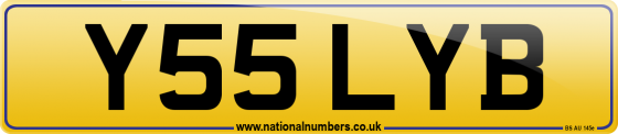 Y55 LYB
