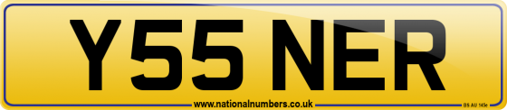 Y55 NER
