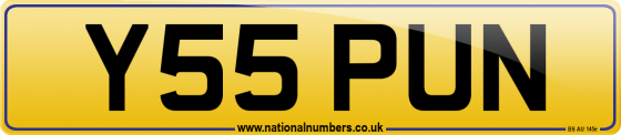 Y55 PUN