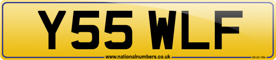 Y55 WLF