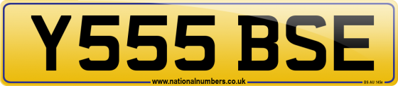 Y555 BSE