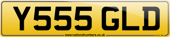 Y555 GLD