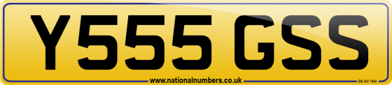 Y555 GSS