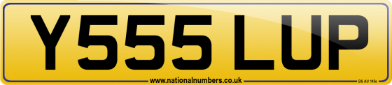 Y555 LUP
