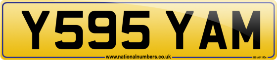 Y595 YAM