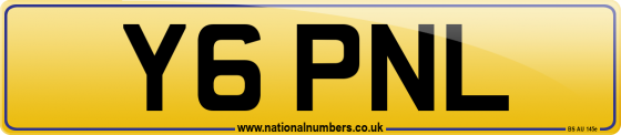 Y6 PNL