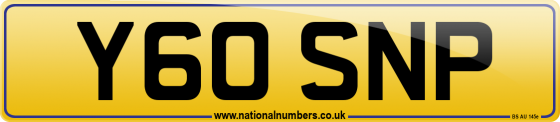 Y60 SNP