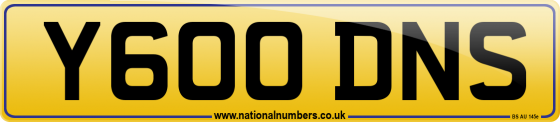 Y600 DNS