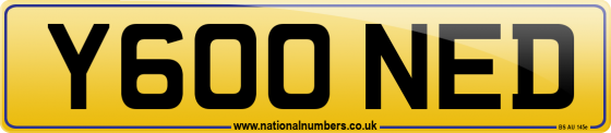 Y600 NED