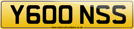 Y600 NSS