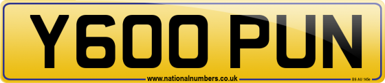 Y600 PUN