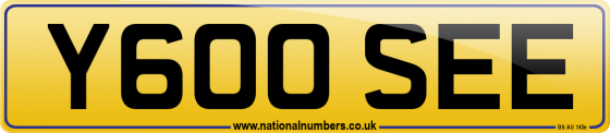 Y600 SEE