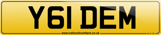 Y61 DEM