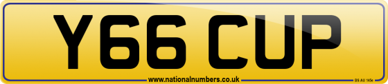Y66 CUP