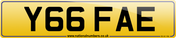 Y66 FAE