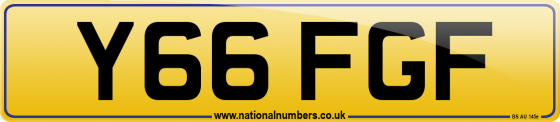 Y66 FGF