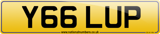 Y66 LUP