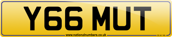 Y66 MUT
