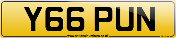 Y66 PUN