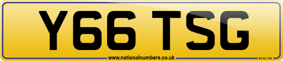 Y66 TSG