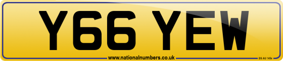 Y66 YEW