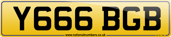 Y666 BGB