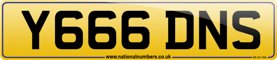 Y666 DNS