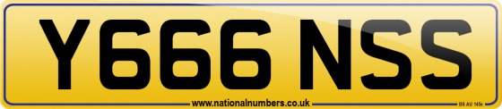 Y666 NSS