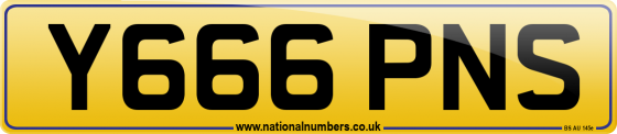 Y666 PNS