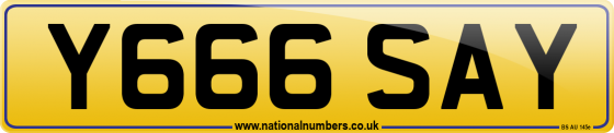 Y666 SAY